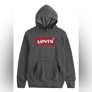 Levi’s Toddler Pull-over Logo Hoodie - Dark Gray 2T